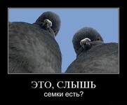 Саяногорск Инфо - Присоединённое изображение