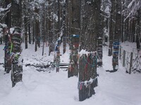 Саяногорск Инфо - Присоединённое изображение