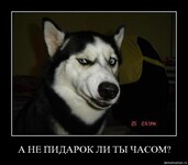 Саяногорск Инфо - Присоединённое изображение