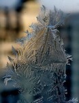 Саяногорск Инфо - Присоединённое изображение