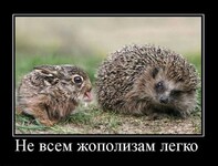 Саяногорск Инфо - Присоединённое изображение