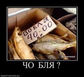 Саяногорск Инфо - Присоединённое изображение