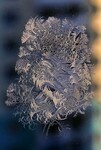 Саяногорск Инфо - Присоединённое изображение