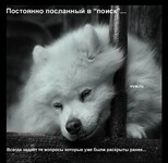 Саяногорск Инфо - Присоединённое изображение