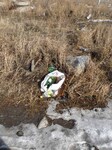 Саяногорск Инфо - Присоединённое изображение