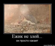 Саяногорск Инфо - Присоединённое изображение