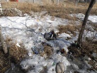 Саяногорск Инфо - Присоединённое изображение