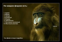Саяногорск Инфо - Присоединённое изображение
