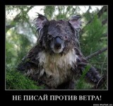 Саяногорск Инфо - Присоединённое изображение