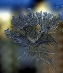 Саяногорск Инфо - Присоединённое изображение
