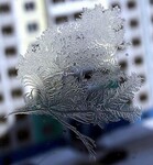 Саяногорск Инфо - Присоединённое изображение