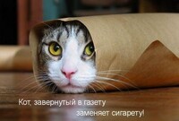 Саяногорск Инфо - Присоединённое изображение