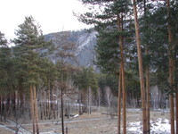 Саяногорск Инфо - Присоединённое изображение