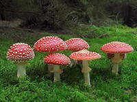 Саяногорск Инфо - Присоединённое изображение
