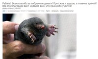 Саяногорск Инфо - Присоединённое изображение
