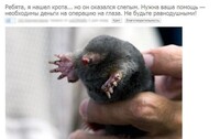 Саяногорск Инфо - Присоединённое изображение