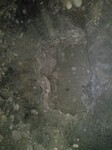Саяногорск Инфо - Присоединённое изображение