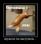 Саяногорск Инфо - Присоединённое изображение