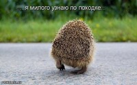 Саяногорск Инфо - Присоединённое изображение