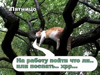 Саяногорск Инфо - Присоединённое изображение