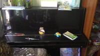 Саяногорск Инфо - Присоединённое изображение