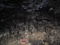 Саяногорск Инфо - Присоединённое изображение