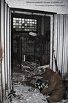 Саяногорск Инфо - Присоединённое изображение