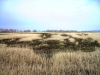Саяногорск Инфо - Присоединённое изображение