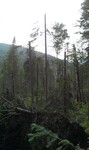 Саяногорск Инфо - Присоединённое изображение