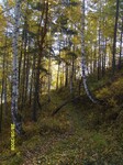 Саяногорск Инфо - Присоединённое изображение