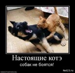 Саяногорск Инфо - Присоединённое изображение
