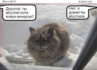 Саяногорск Инфо - Присоединённое изображение