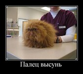 Саяногорск Инфо - Присоединённое изображение