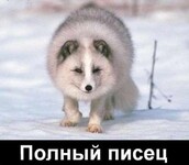 Саяногорск Инфо - Присоединённое изображение