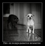 Саяногорск Инфо - Присоединённое изображение