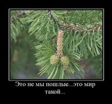 Саяногорск Инфо - Присоединённое изображение