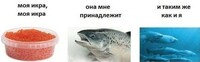 Саяногорск Инфо - Присоединённое изображение