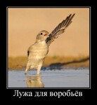 Саяногорск Инфо - Присоединённое изображение
