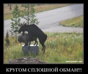 Саяногорск Инфо - Присоединённое изображение