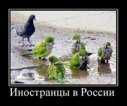 Саяногорск Инфо - Присоединённое изображение