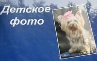 Саяногорск Инфо - Присоединённое изображение