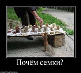 Саяногорск Инфо - Присоединённое изображение