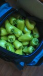 Саяногорск Инфо - Присоединённое изображение