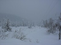 Саяногорск Инфо - Присоединённое изображение