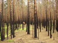 Саяногорск Инфо - Присоединённое изображение