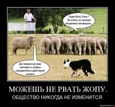 Саяногорск Инфо - Присоединённое изображение