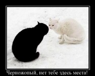 Саяногорск Инфо - Присоединённое изображение