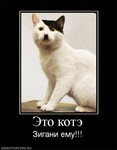 Саяногорск Инфо - Присоединённое изображение
