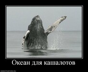Саяногорск Инфо - Присоединённое изображение