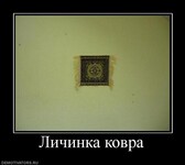 Саяногорск Инфо - Присоединённое изображение